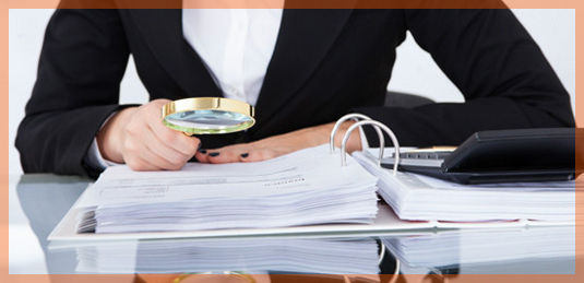 auditor